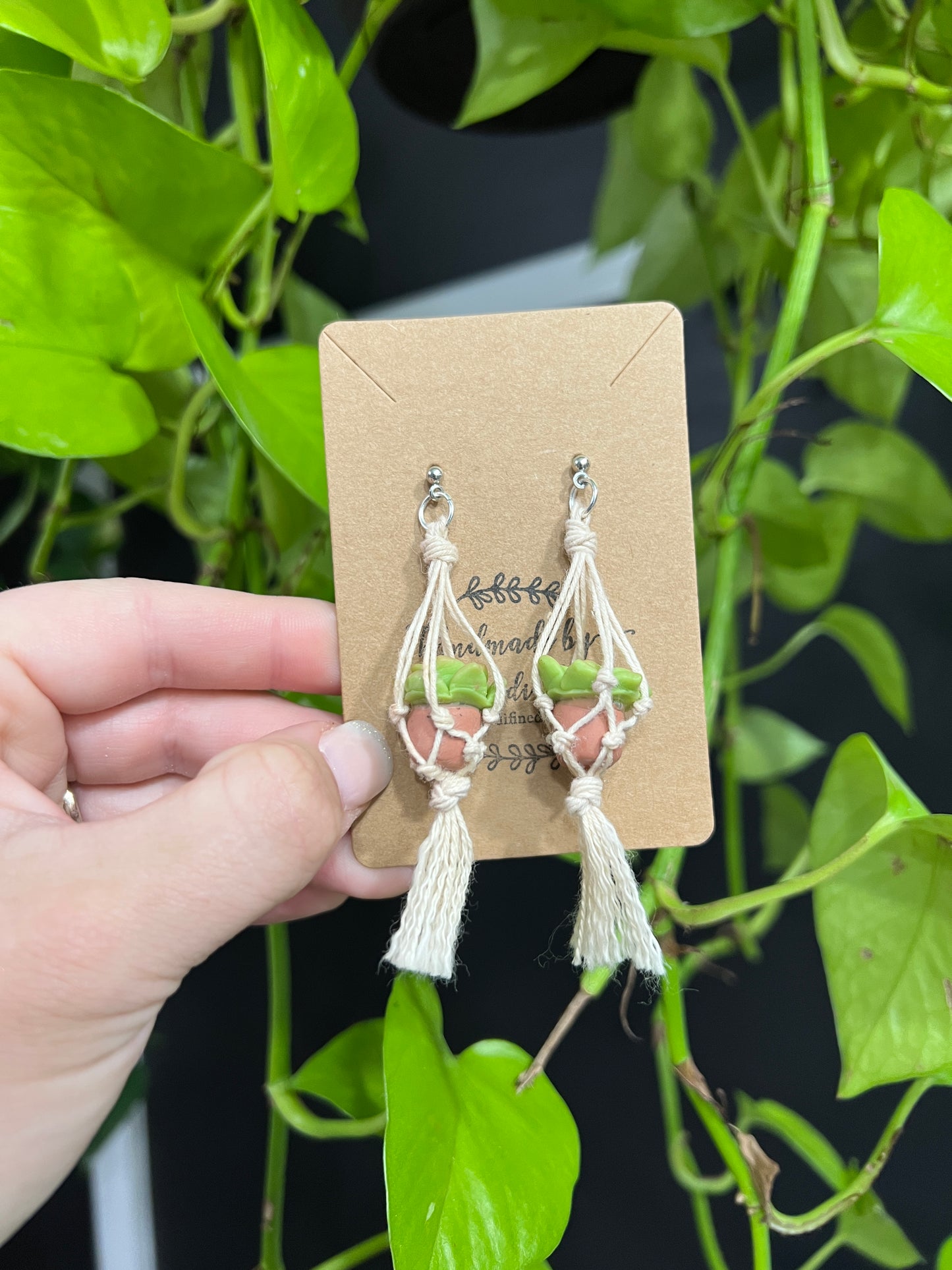 Succulent Earrings